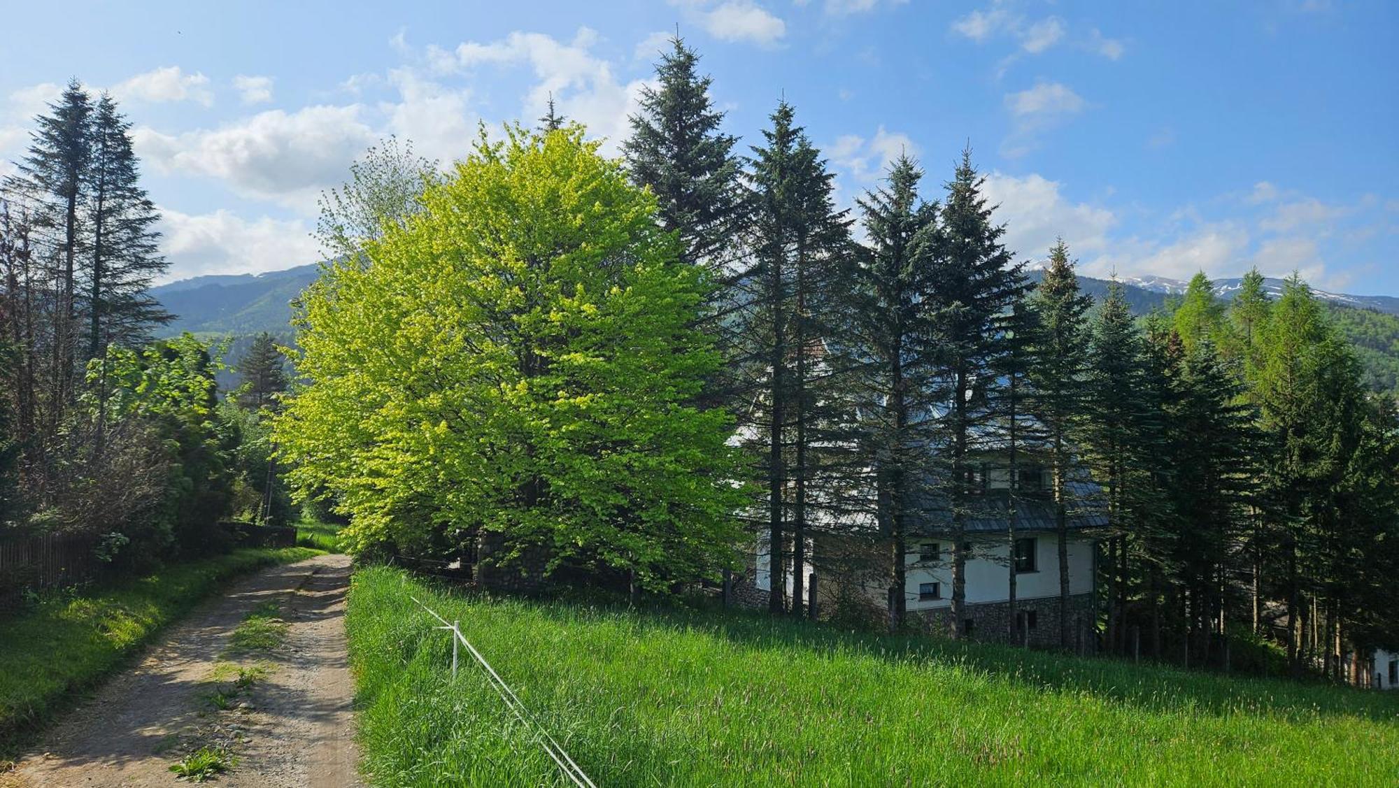 Kalinowka Koscielisko Appartement Buitenkant foto